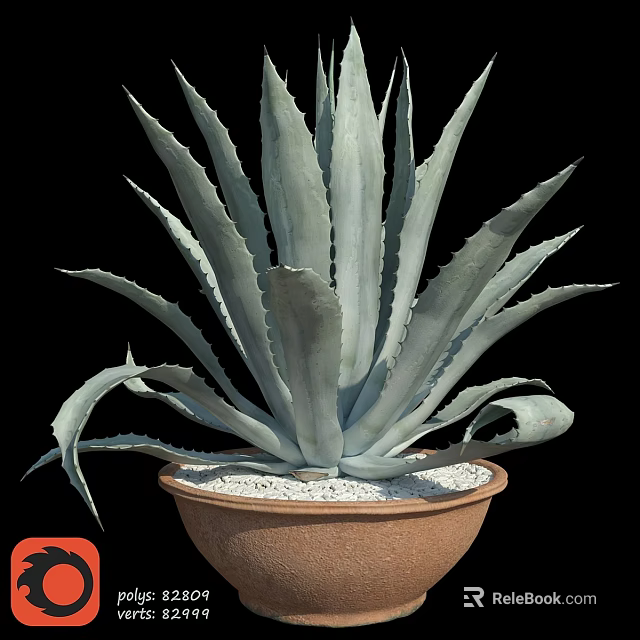 Decorative Agave Plant in Terracotta Pot with White Pebbles for Garden Decor 3d model 