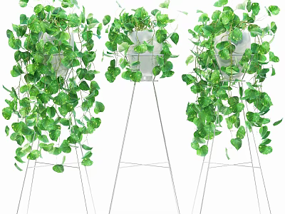 Lush Green Potted Plants With Hanging Vines On Metal Tripod Stands 3d model