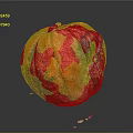Vibrant Multi Colored Textured Pumpkin On Black Background With Reflective Surface