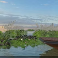 Scenic Park Landscape With Water Area Water Lilies Reeds And Wooden Deck