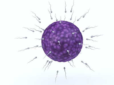 Brain Neuron Structure Showing Cell Body With Dendrites In Human Head 3d model