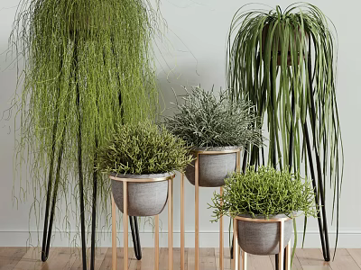 Indoor Bonsai Plants With Different Green Foliage In Decorative Pots And Stands 3d model