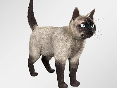 Colorful Reptile Lizard Sitting On Rock Surface In Sunny Desert Habitat 3d model