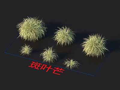 Variegated Miscanthus Clump Forming Ornamental Grass With Golden Green Foliage For Garden Landscaping 3d model