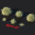 Variegated Miscanthus Clump Forming Ornamental Grass With Golden Green Foliage For Garden Landscaping