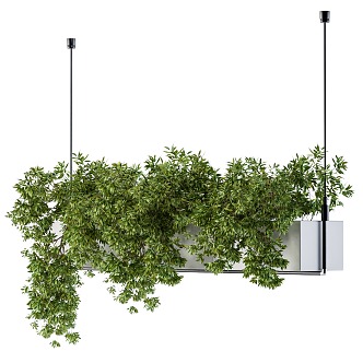 Modern hanging basket green plant hanging basket 3d model