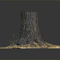Wooden Tree Stump on Stone Platform with Fallen Leaves and Small Plants