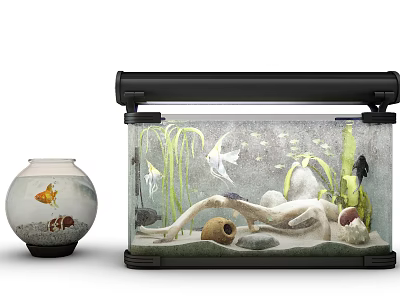 Aquarium Setup With Small Fishbowl Aquatic Plants Goldfish Angelfish Sand Stones And Driftwood 3d model