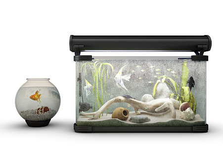 Fish tank 3d model