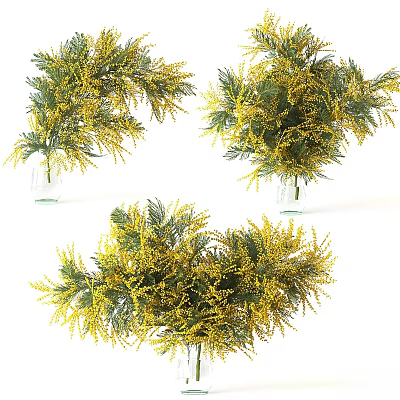 Yellow Flower Arrangements With Green Leaves In Clear Glass Vases For Decor 3d model