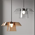 Modern Elegant Pendant Lights With Transparent Shades And Metallic Frames For Interior Decor 3d model