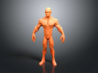 Muscular Male 3D Model Figure Standing With Orange Color And Human Anatomy 3d model