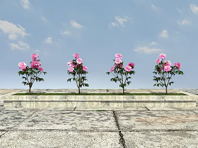 Four Pink Flower Plants With Green Leaves Arranged On Stone Ground Against Blue Sky With Clouds 3d model