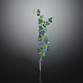 Decorative Green Leaf Vine Plant With Slender Stem On Dark Background 3d model