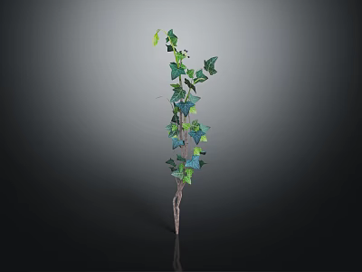 Decorative Green Leaf Vine Plant With Slender Stem On Dark Background 3d model