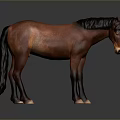 Detailed Brown Horse Model in Standing Pose on Gray Background