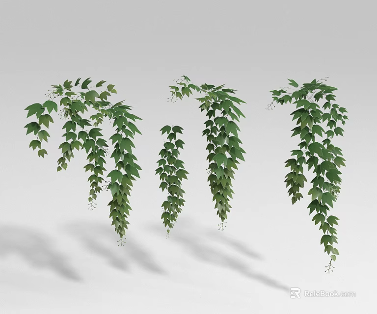 Lush Green Hanging Vines Featuring Dense Foliage And Natural Growth 3d model 