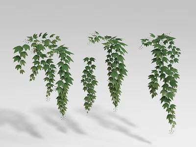 Lush Green Hanging Vines Featuring Dense Foliage And Natural Growth 3d model