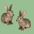 Two Lifelike Reptile Sculptures With Detailed Texture And Natural Posture