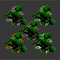 Clustered Lily of the Valley Plants with Green Leaves White Pink Flowers and Orange Blooms