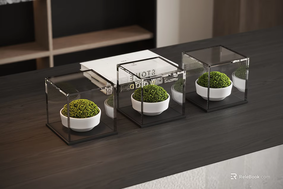 Modern Mini Potted Plants with White Pots in Transparent Cube Containers on Dark Wooden Table 3d model 
