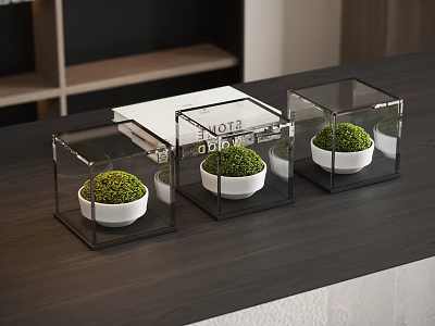 Modern Mini Potted Plants with White Pots in Transparent Cube Containers on Dark Wooden Table 3d model