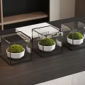 Modern Mini Potted Plants with White Pots in Transparent Cube Containers on Dark Wooden Table