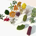 Trees with various colors shapes and red orange green bushes under blue sky white ground