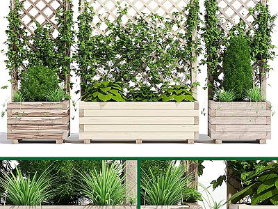 Lush Vines Climbing on Wooden Trellis with Planters and Greenery Arrangement 3d model