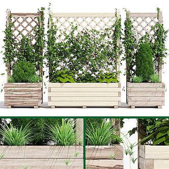 Modern Vine Flower Box 3d model