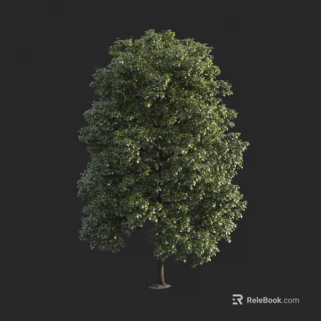 Lush Green Arbor With Dense Foliage And Brown Trunk On Dark Background 3d model 