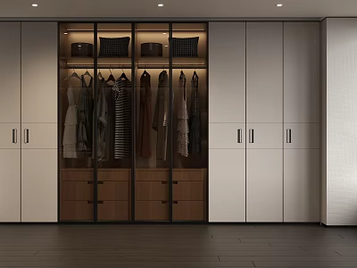 Modern Wardrobe Interior Design With Glass Doors Hanging Clothes And Wooden Drawers 3d model