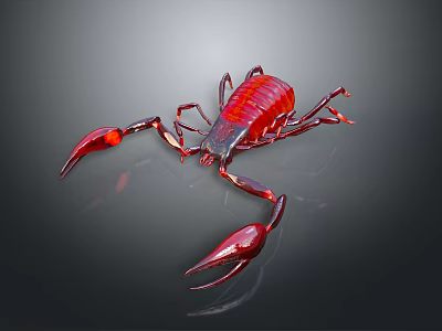 Vibrant Red Aquatic Lobster With Large Claws And Segmented Body Against Black Background 3d model