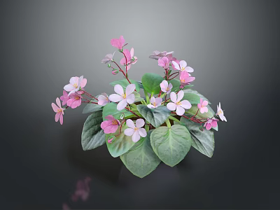 Fresh Potted Plant With Pink And White Flowers And Green Leaves 3d model