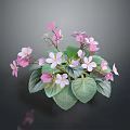 Fresh Potted Plant With Pink And White Flowers And Green Leaves