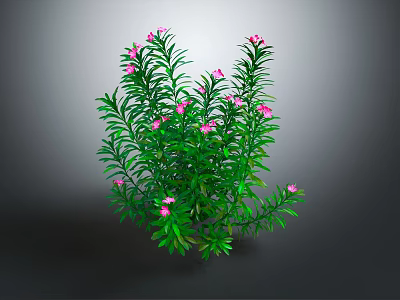 Green Plant With Slender Green Leaves And Pink Flowers On Gray Background 3d model