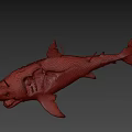Realistic Damaged Shark 3D Model With Exposed Skeleton And Bloodstains 3d model