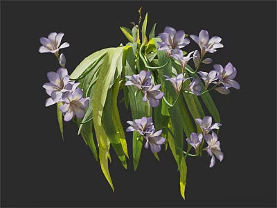 Blooming Purple Flowers with Fresh Green Leaves and Lush Foliage Against Dark Background 3d model