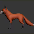 Red Fox 3D Model Standing With Orange Fur White Underbelly Black Legs And Open Mouth