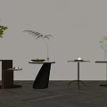 Modern side a few side a few corner a few vase plant 3d model