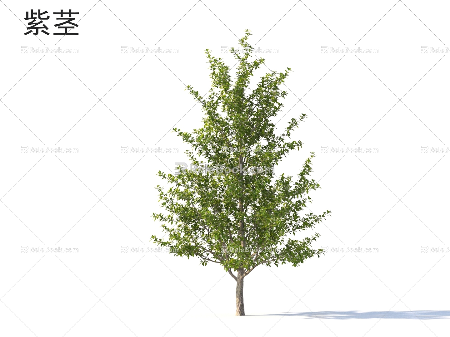 Plants of small trees with purple stems 3d model