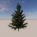 Tall Green Tree Standing in Open Plain Under Clear Blue Sky With White Clouds 3d model
