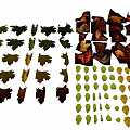 Assorted Colorful Autumn Leaves With Various Shapes And Natural Tones