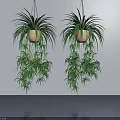 Lush Indoor Hanging Basket Plants with Trailing Greenery in Woven Planters