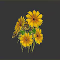 Vibrant Bonsai Potted Plant With Yellow Flowers And Green Leaves Against Dark Background