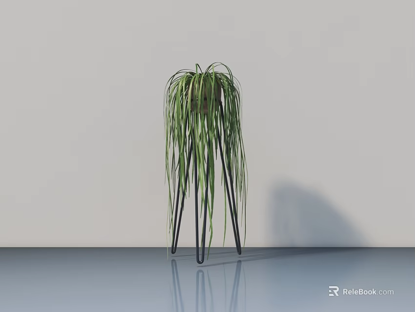 Bonsai Plant with Trailing Green Leaves on Black Metal Stand Against White Wall and Floor 3d model 