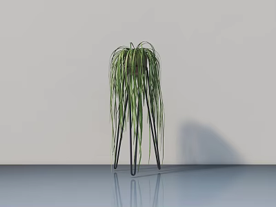 Bonsai Plant with Trailing Green Leaves on Black Metal Stand Against White Wall and Floor 3d model