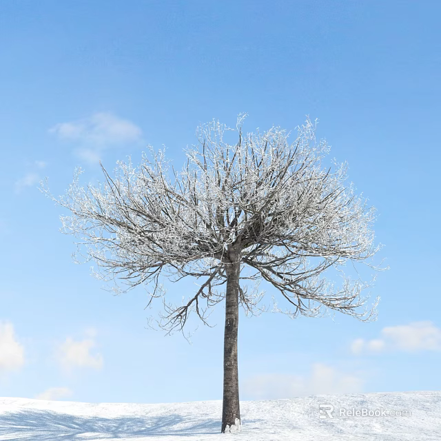 Frost Covered Arbor Tree with Bare Branches Against Blue Sky and White Clouds 3d model 