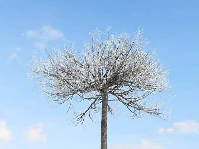 Frost Covered Arbor Tree with Bare Branches Against Blue Sky and White Clouds 3d model