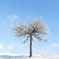 The Modern Tree 3d model
